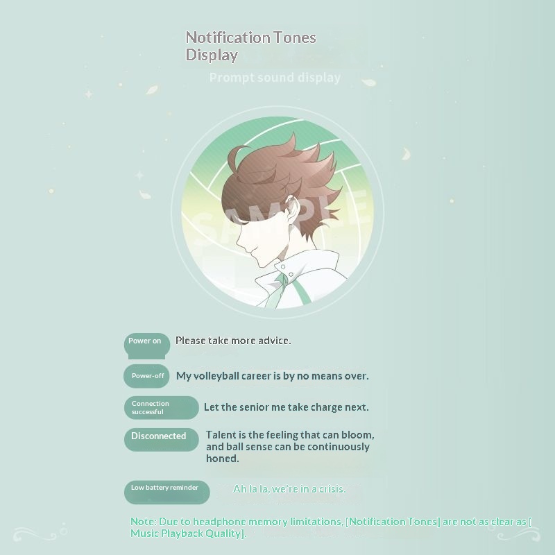 Oikawa Tooru Haikyuu  Wireless - огляд і ціна Noise Cancelling Headphone